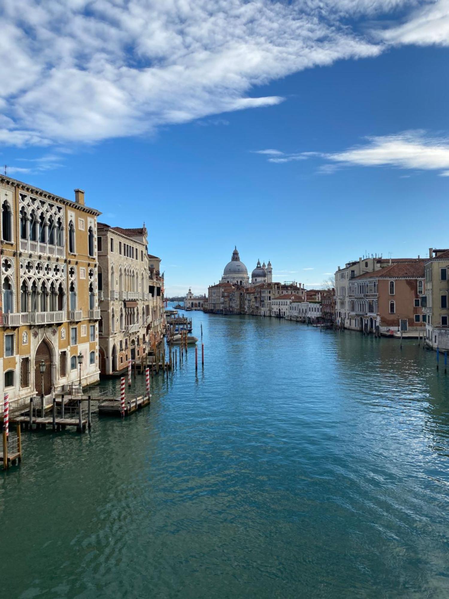 Wow Garden In The Heart Of Venesia Bagian luar foto